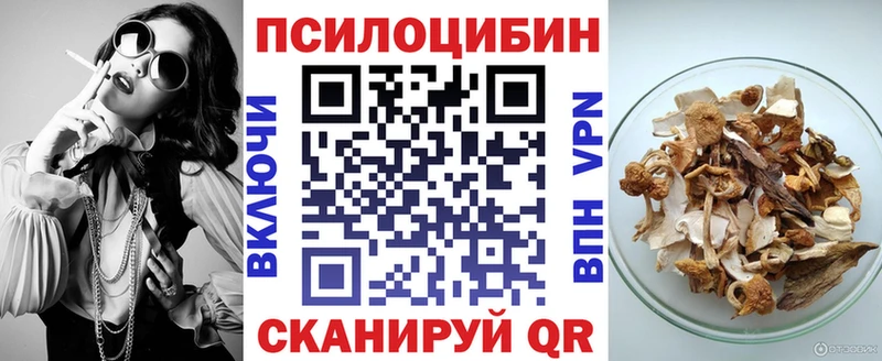 Галлюциногенные грибы мицелий  Купить закладки  Лаишево 